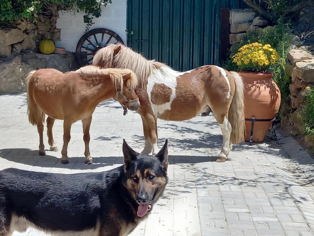 Casinha Da Lareira - Quintinha Dos Cavalos- Arruda Dos Vinhos Dış mekan fotoğraf