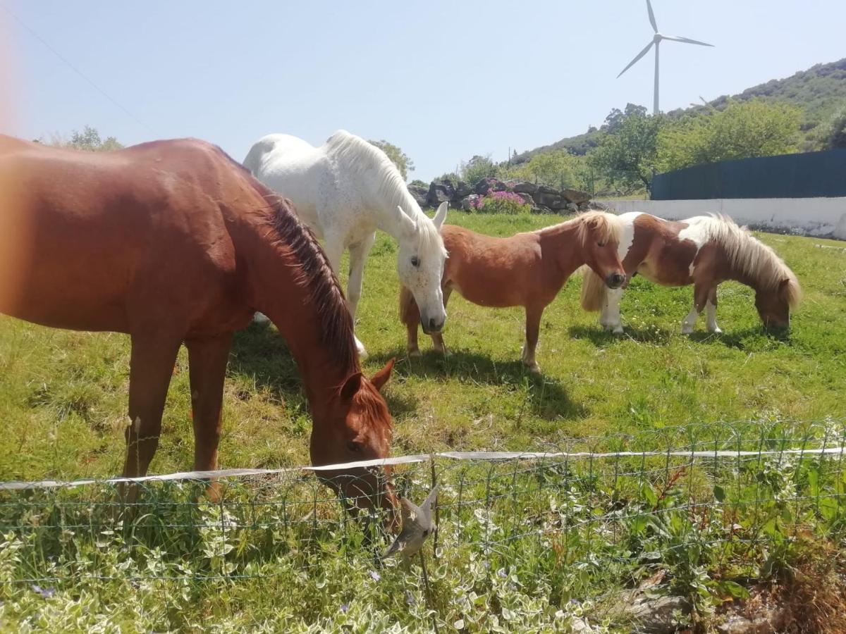 Casinha Da Lareira - Quintinha Dos Cavalos- Arruda Dos Vinhos Dış mekan fotoğraf