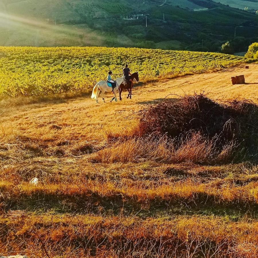 Casinha Da Lareira - Quintinha Dos Cavalos- Arruda Dos Vinhos Dış mekan fotoğraf