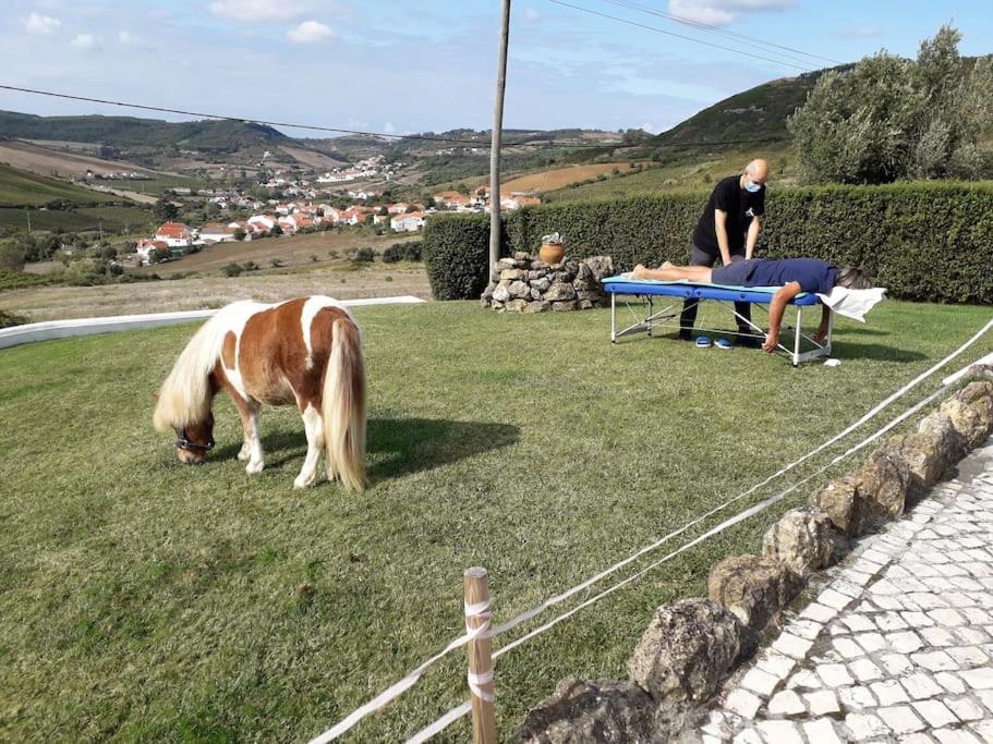 Casinha Da Lareira - Quintinha Dos Cavalos- Arruda Dos Vinhos Dış mekan fotoğraf